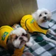 duck, maya,nina e rute