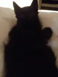 Ana