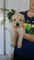 nao tem nome 