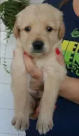 nao tem nome 