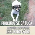 BATUQUINHA GRATIFICA