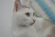 Valentina