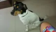 Bob