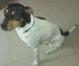 Bob