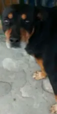 REX