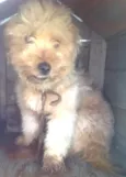 Boby