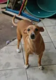 Chiquinha