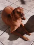 Mel