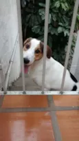 Bob