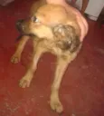 bug