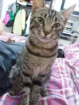 MIA