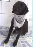 Ricardinho