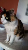 Nina