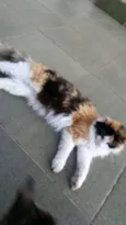 Nina