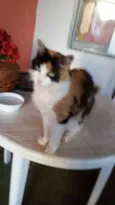 Nina