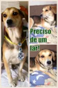 Francisco