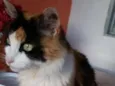 Nina