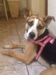 Nina 