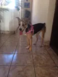 Nina 