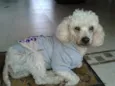 Kinho