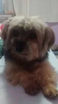 Robert