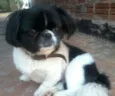 Dezinha