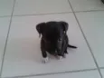 Bolinha