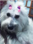 Linda
