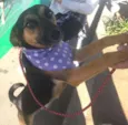 Meg