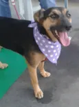 Meg