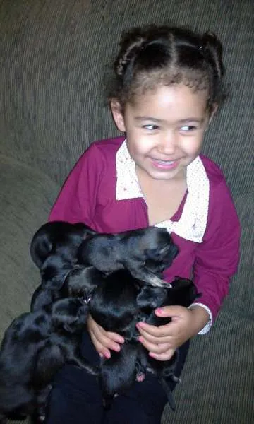 Cachorro raça vira latas idade Abaixo de 2 meses nome filhotes