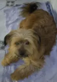 Não sei