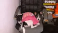 CACAU E LUA
