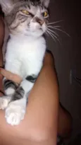 mel