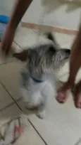 Bob