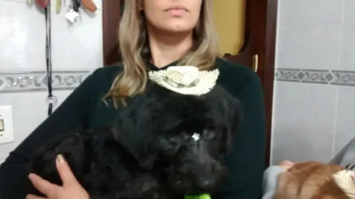 Cachorro ra a ******* idade 2 a 6 meses nome *******