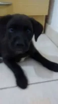 não tem