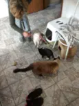 Mia e Mailo
