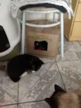 Mia e Mailo