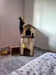 Mia e Mailo