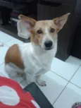 Pit