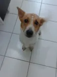 Pit