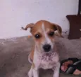 Tufão