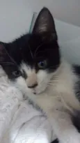 nao tem 