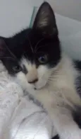 nao tem 