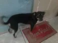 Lupita