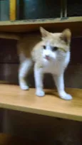 Jonh