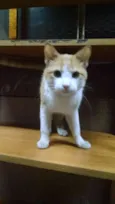 Jonh