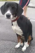 Brenda
