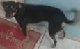 Lupita
